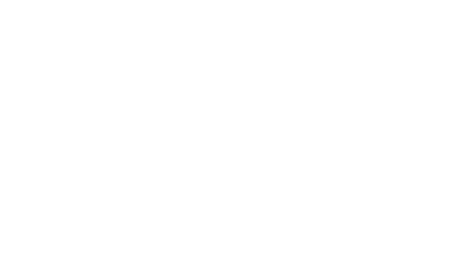 ALIDER Logo